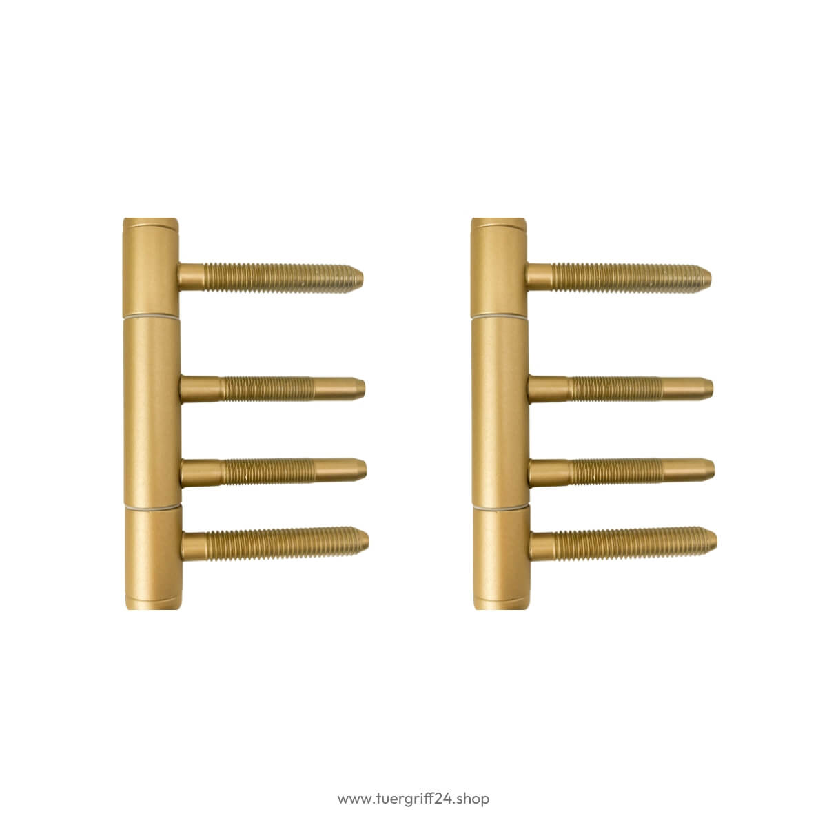 Türband 3 tlg. für Holzzargen - Tuergriff24.shop